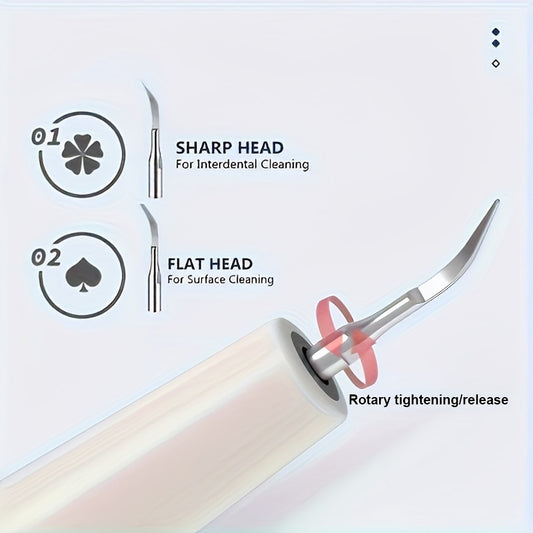 1pc Teeth Cleaner with LED Light for Plaque Removal, Rechargeable Teethbrush, Teeth Cleaning Kit, Teeth Whitening/Cleaning tool, Removes Plaque/Stains, 4 x Replaceable Brush Heads, Home & Travel Oral Care Tool, Birthday/Chris