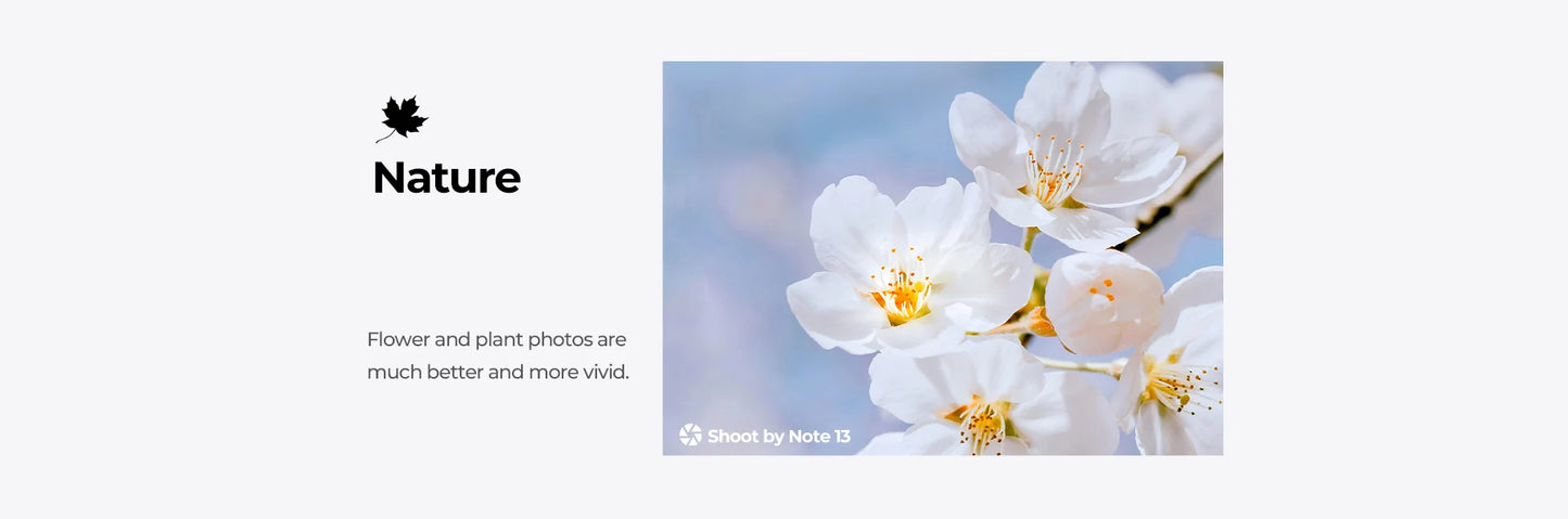 HOTWAV Note 13 Mobile Phone 6.6'' HD+ 90Hz Display 4GB 128GB Octa-Core Smartphone 50MP 5160mAh Android 13 Cellphone